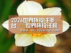 产品名称四