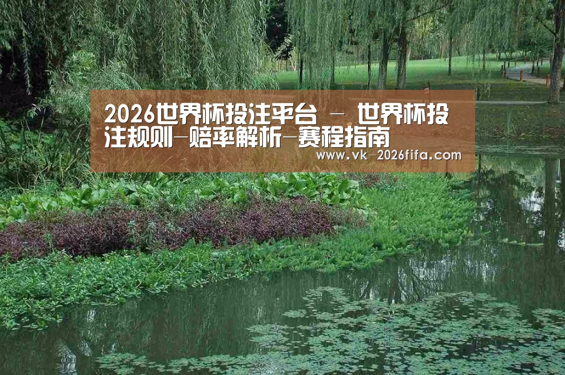 案例展示一