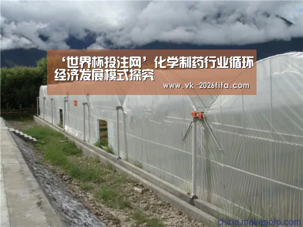 ‘世界杯投注网’化学制药行业循环经济发展模式探究(图2) 世界杯下注
