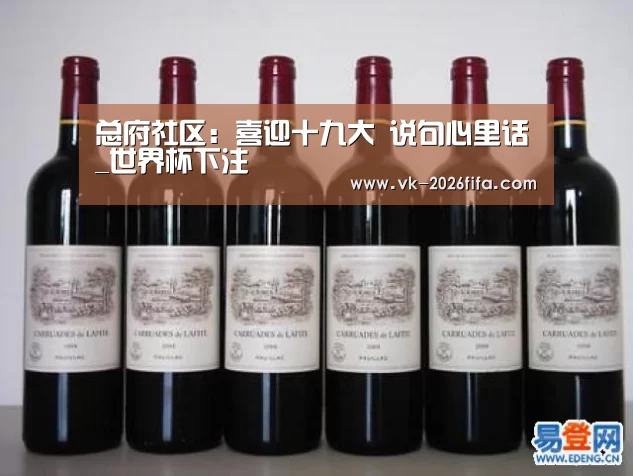 总府社区:喜迎十九大 说句心里话_世界杯下注(图4) 世界杯投注网