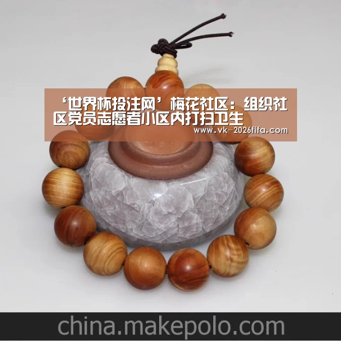 ‘世界杯投注网’梅花社区:组织社区党员志愿者小区内打扫卫生(图2) 世界杯下注平台