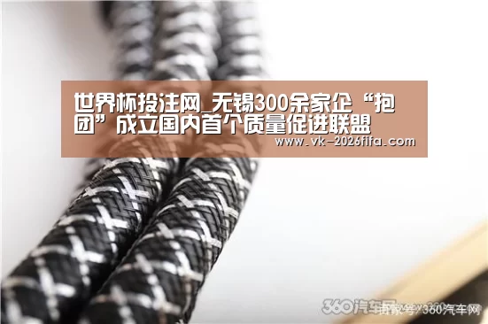 世界杯投注网_无锡300余家企“抱团”成立国内首个质量促进联盟(图1) 世界杯下注平台