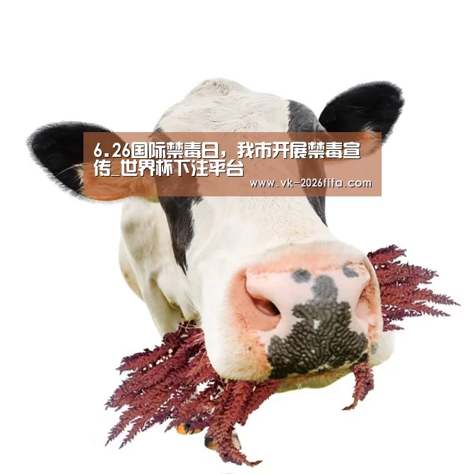 6.26国际禁毒日,我市开展禁毒宣传_世界杯下注平台(图1) 世界杯下注