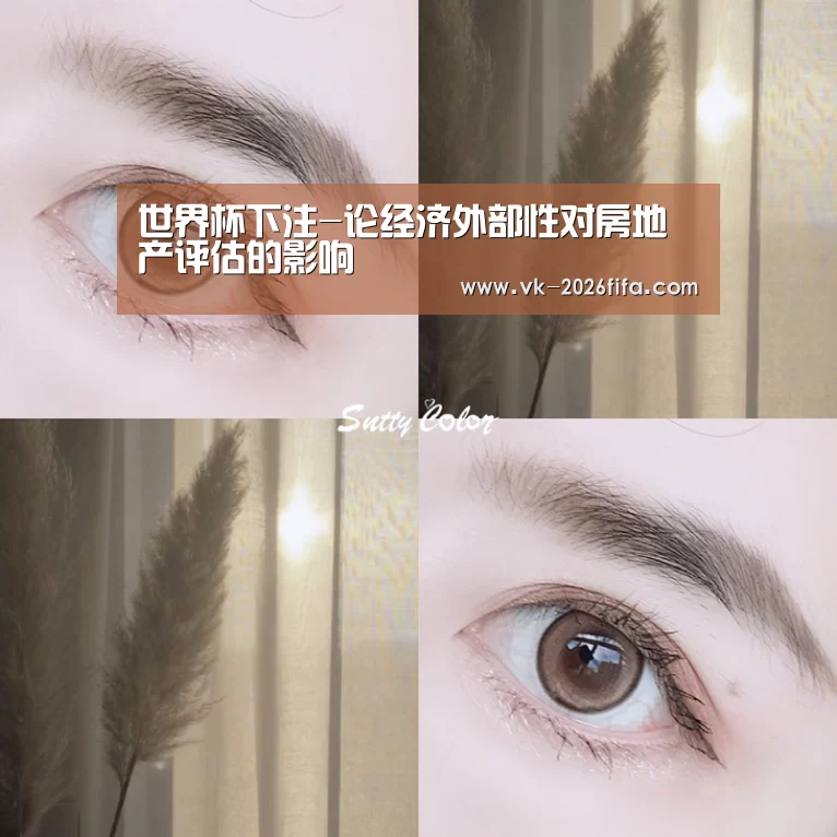 世界杯下注-论经济外部性对房地产评估的影响(图2) 世界杯投注网